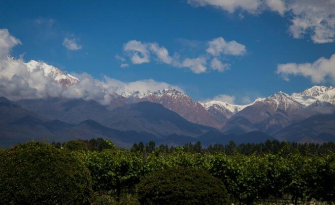 Wine Road Trip: 3 Wineries in Uco Valley - Full Day - Winery 3: Vineyard Name & Tour