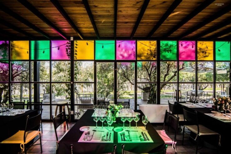 Wine Road Trip: 3 Wineries Maipú / Luján De Cuyo - Full Day - Good To Know