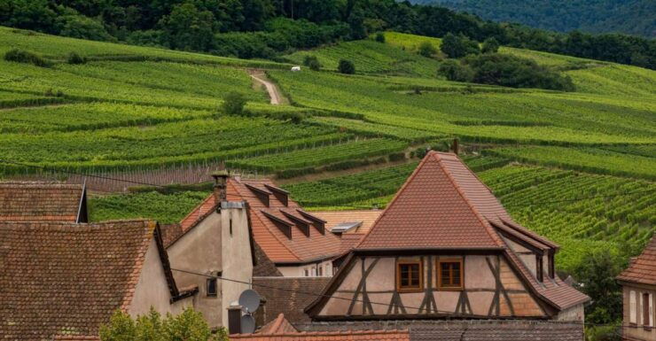 Wine Route Rallye - Experience Highlights