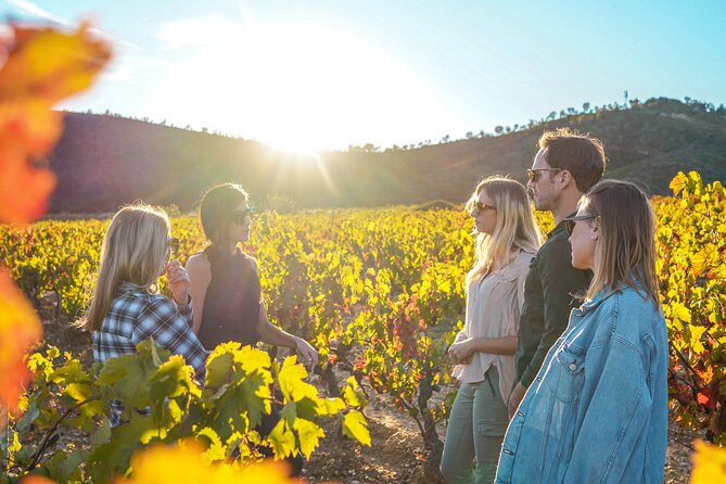 Wine Safari - Additional Information and Recommendations