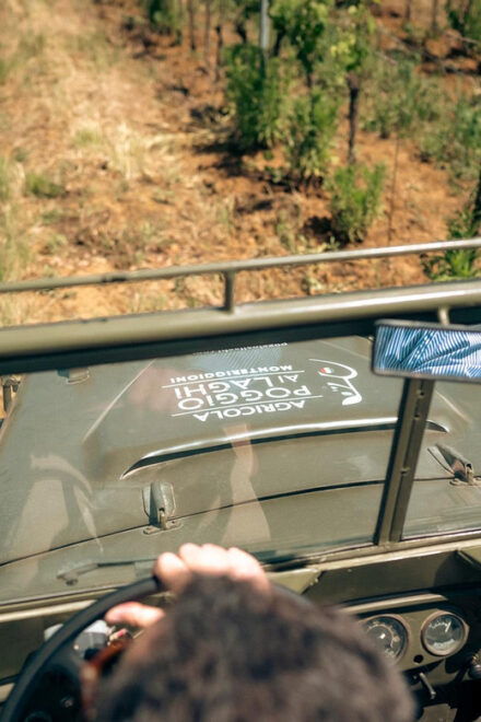 WINE SAFARI: POGGIO AI LAGHI VINEYARDS ON A VINTAGE OFF-ROAD - Tasting Experience