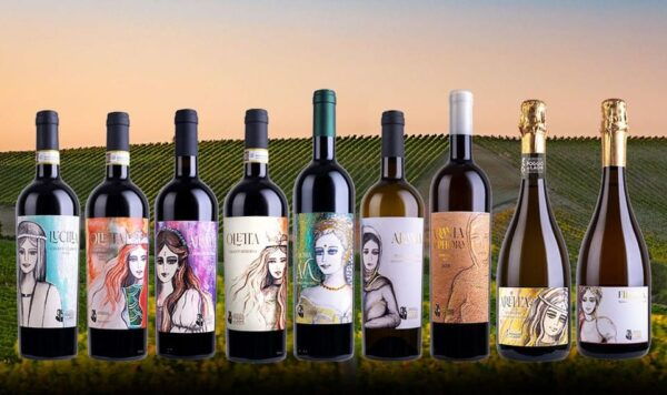 WINE SAFARI: POGGIO AI LAGHI VINEYARDS ON A VINTAGE OFF-ROAD - Booking Information