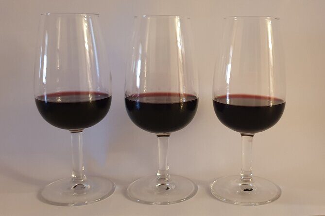 Wine & Scent Experience in Barcelona - The Teaching Method: Making Wine Tasting Fun and Educational