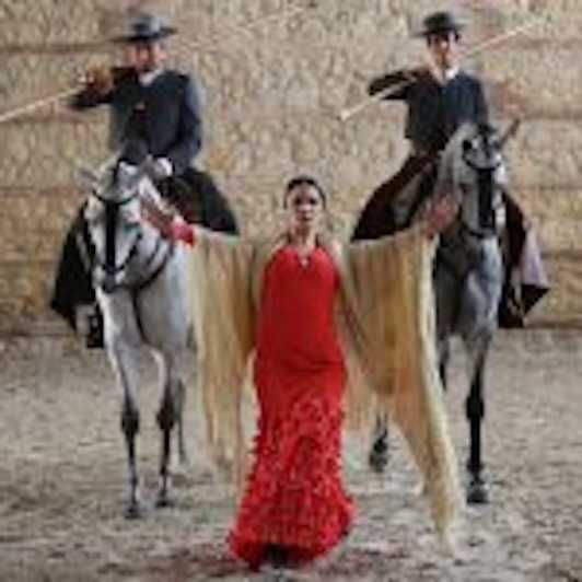 Wine & Sherry Day Tour From Seville - Itinerary Highlights