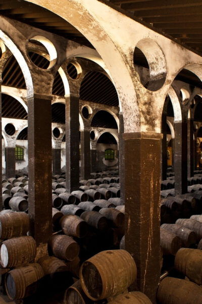 Wine & Sherry Day Tour From Seville - Inclusions and Exclusions