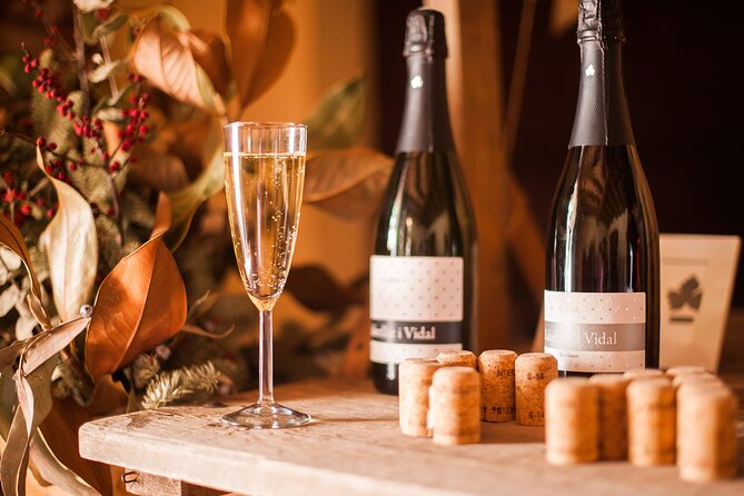 Wine, Tapas & Cava Private Tour From Barcelona - The Sum Up