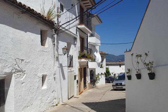 Wine, Tapas & Lake Zahara by E-Bike Incl Ronda Pickup (Full Day) - What to Expect on the E-Bike Tour