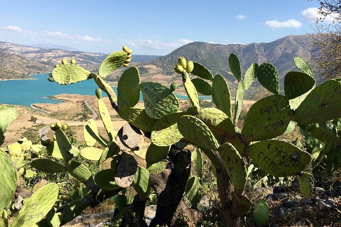 Wine, Tapas & Lake Zahara by E-Bike Incl Ronda Pickup (Full Day) - Pricing, Guarantee, and Booking Details