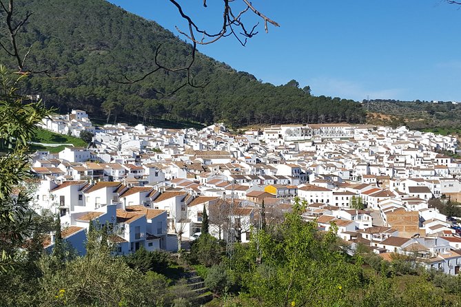 Wine & Tapas Tour by Electric Bike (E-Bike) Including Ronda Pickup (Full Day) - Pricing and Reviews