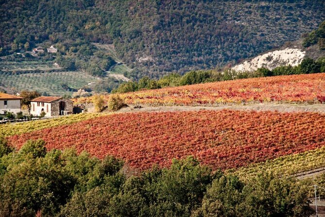 Wine Tasting Activity at Chianti Rufina - Relaxing and Enjoyable Atmosphere
