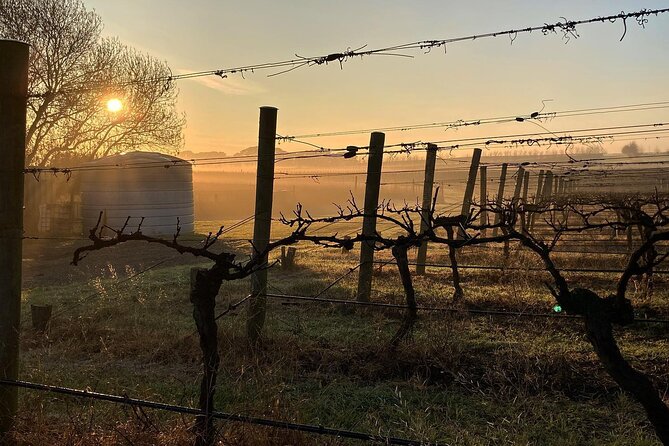 Wine Tasting and a House-Made Bellarine Estate Charcuterie Platter - Booking Information and Accessibility Details
