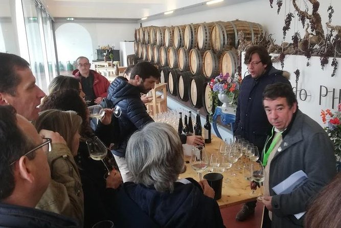 Wine Tasting and Food Experiences Region of Lisbon - Setúbal - Good To Know
