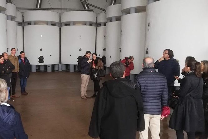 Wine Tasting and Food Experiences Region of Lisbon - Setúbal - Inclusions and Options