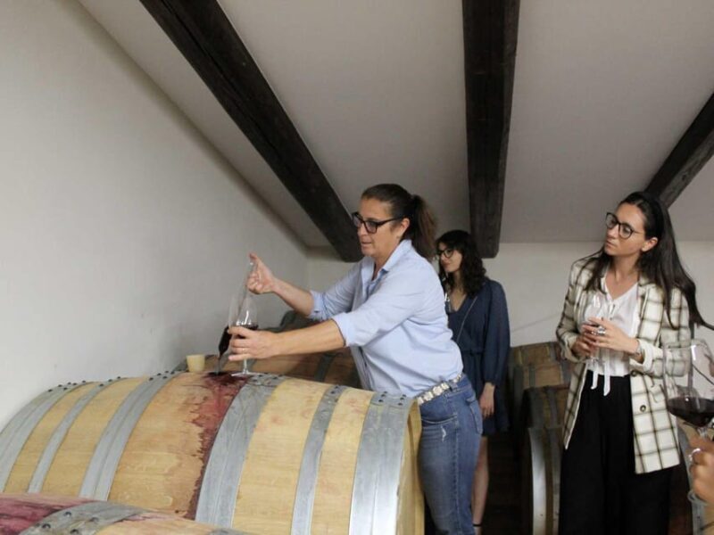 Wine Tasting and Food Pairings in Langhe and near Alba - Final Thoughts