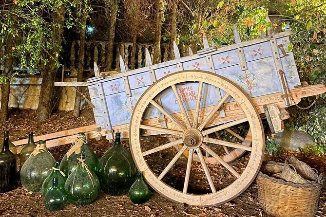 Wine Tasting and Guided Visit to the Vineyard and Cellar in S. Maria Imbaro - Sample Menu and Directions