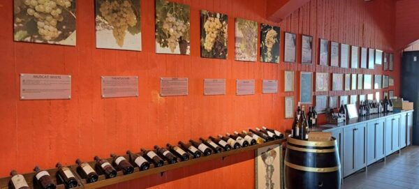 Wine Tasting and Knossos Palace - Private Tour in Heraklion - Highlights