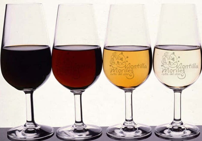 Wine Tasting and local tapas delight in Cordoba - Good To Know