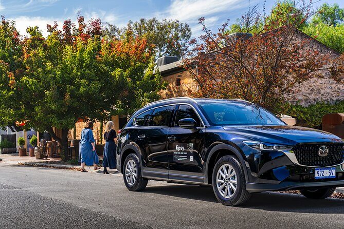 Wine Tasting and Lunch Private Tour in McLaren Vale - Good To Know