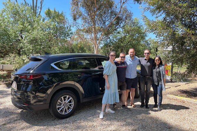 Wine Tasting and Lunch Private Tour in McLaren Vale - Who Will Love This Tour?