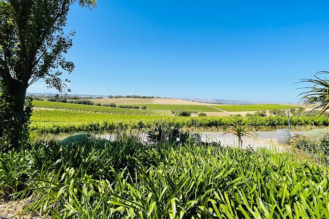 Wine Tasting and Lunch Private Tour in McLaren Vale - FAQs