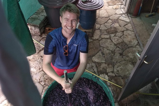 Wine Tasting and Magical Tour From Kotor, Budva, Tivat (Lovcen,Skadar Lake) - Frequently Asked Questions