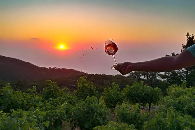Wine Tasting and Tour at Karimalis Winery in Ikaria - Whats Included