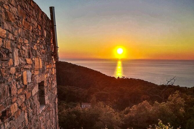 Wine Tasting and Tour at Karimalis Winery in Ikaria - Additional Info