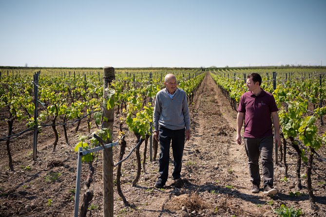 Wine Tasting and Visit to the Wine Cellar - Guided Tour Information
