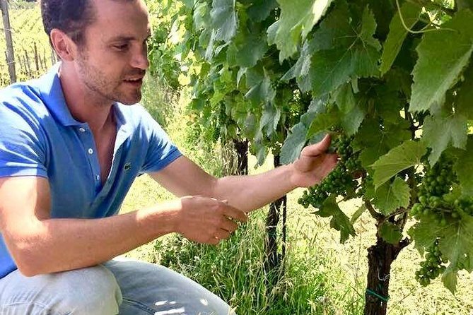 Wine Tasting and Winery Tour - What To Expect
