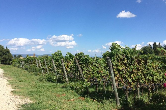 Wine Tasting and Winery Tour - Cancellation Policy
