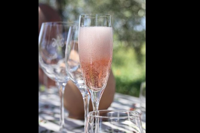 Wine Tasting and Winery Tour - Common Questions