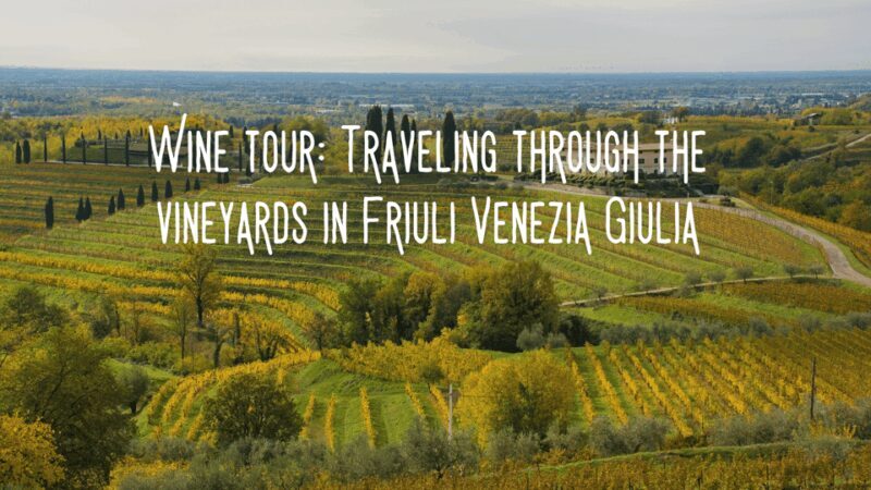 Wine tasting and winery tour in Friuli Venezia Giulia - Good To Know  