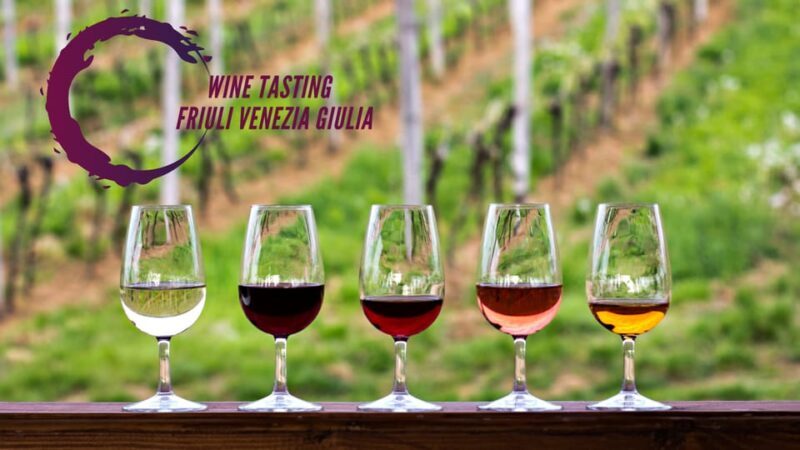 Wine tasting and winery tour in Friuli Venezia Giulia - An In-Depth Look at This Wine Tour Experience  