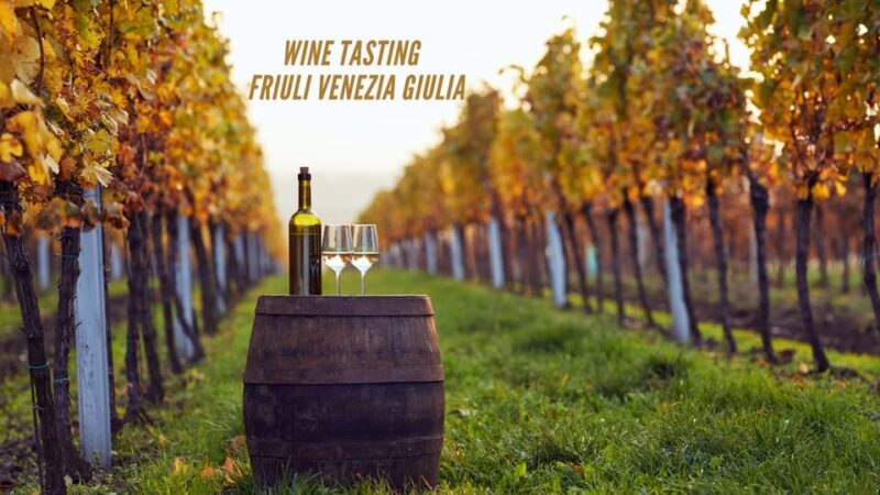 Wine tasting and winery tour in Friuli Venezia Giulia - Who Should Consider This Tour?  
