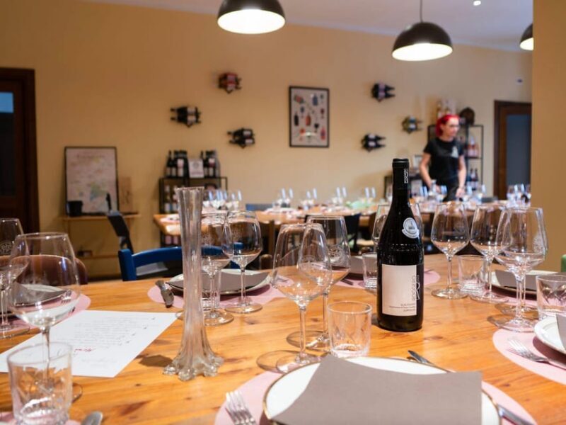 Wine Tasting and Winery Visit near Asti and Turin - Who Will Enjoy This Tour?