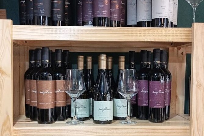 Wine Tasting at Downtown Buenos Aires Ego Experience - What To Expect