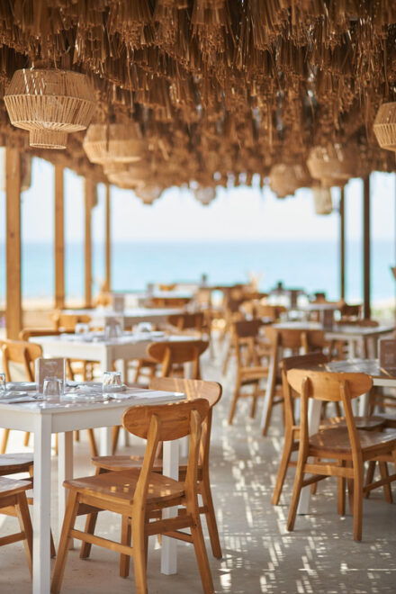 Wine Tasting at Falassarna Beach ( Macaya Beach House ) - Educational Component