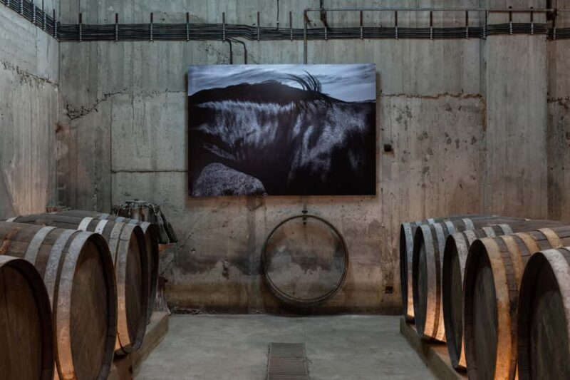 Wine Tasting at Paros Farming Community - The Details That Matter