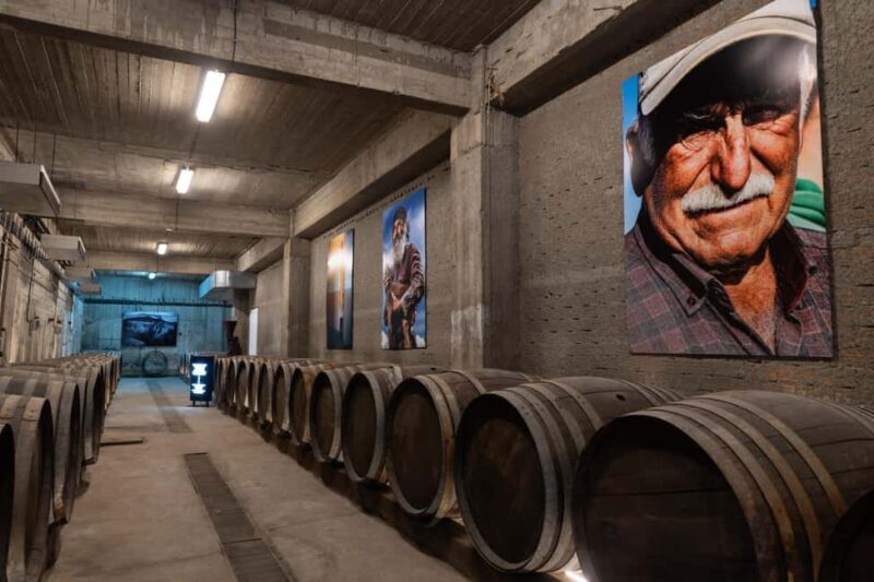 Wine Tasting at Paros Farming Community - Authenticity and Reviews – Real Insights