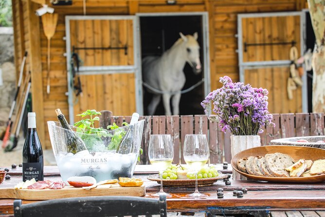 Wine Tasting at Quinta Das Murgas - Whats Included