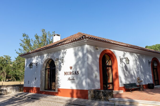 Wine Tasting at Quinta Das Murgas - Meeting and Pickup