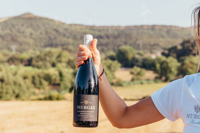 Wine Tasting at Quinta Das Murgas - What To Expect