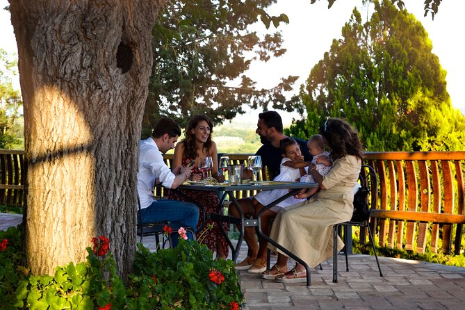 Wine Tasting at the Winery in the Panoramic Terrance - Additional Information for Travelers