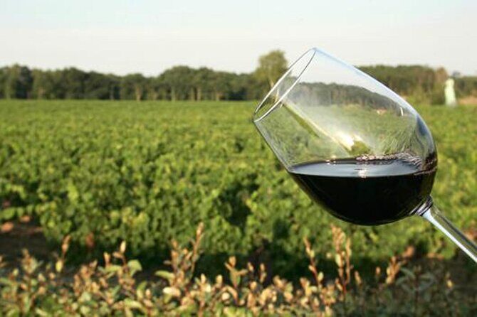 Wine Tasting Audio Tour - Lodi California - What We’ve Learned from the Reviews
