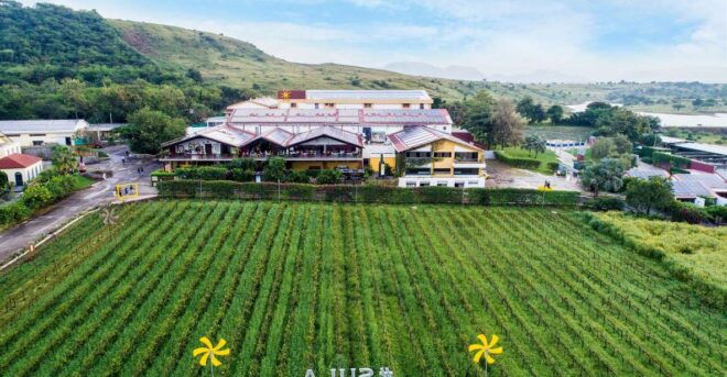 Wine Tasting Day Tour Sula Vineyards Nashik From Mumbai - Frequently Asked Questions