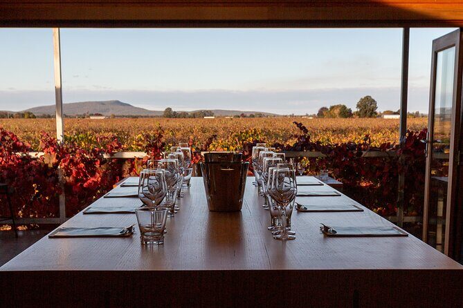 Wine Tasting Experience - Who Will Love This Experience?