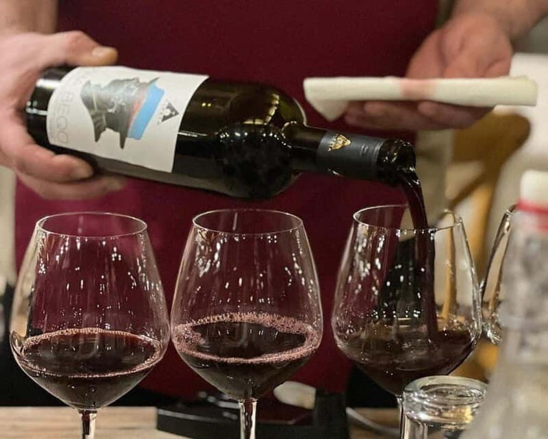 Wine Tasting Experience at Alpeta Winery - Good To Know