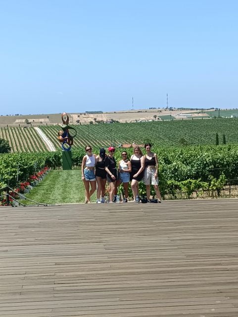 Wine Tasting Experience From Thessaloniki - Winery Museum Exploration
