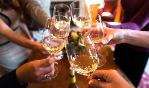 Wine Tasting Experience in a Greek Farm House - Booking and Cancellation Policies