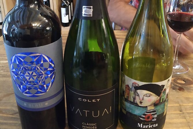 Wine Tasting Experience in Barcelona - Palate Education and Regional Snacks